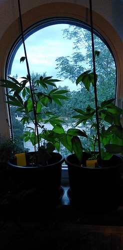 Growreport Bild 6