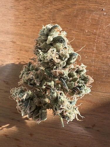 Growreport Bild 13