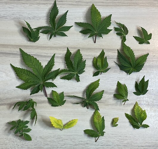 Growreport Bild 21