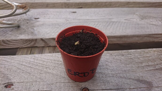 Growreport Bild 22
