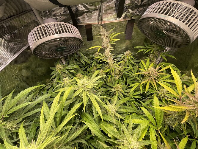 Growreport Bild 2