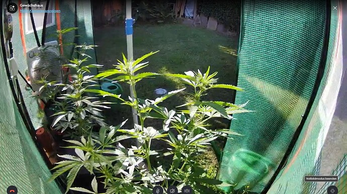 Growreport Bild 6
