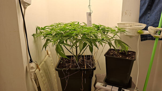 Growreport Bild 202
