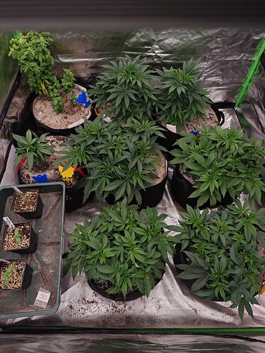 Growreport Bild 21