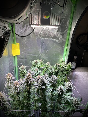 Growreport Bild 2
