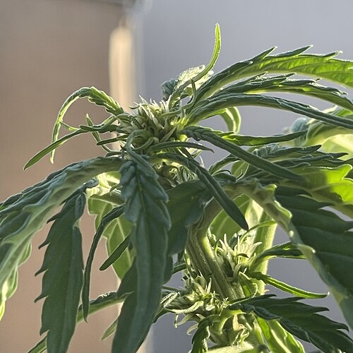Growreport Bild 11