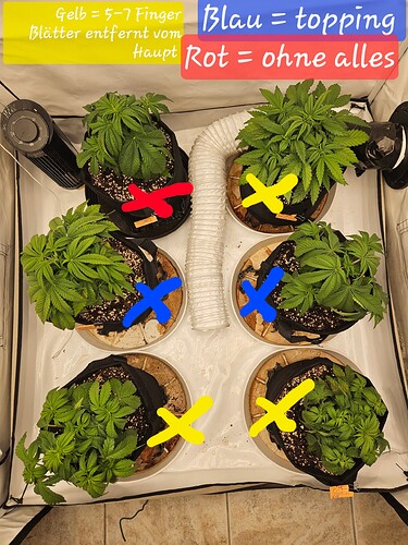 Growreport Bild 16