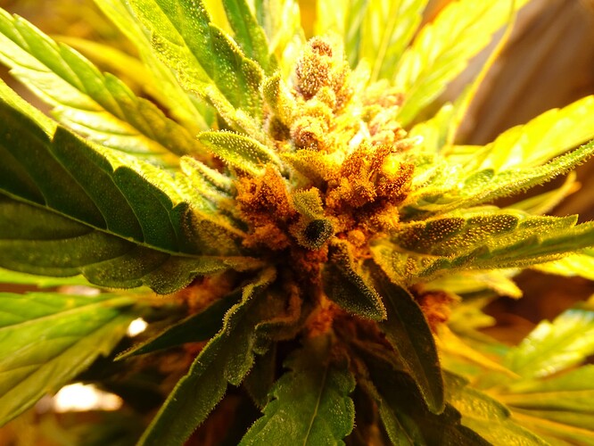 Growreport Bild 21