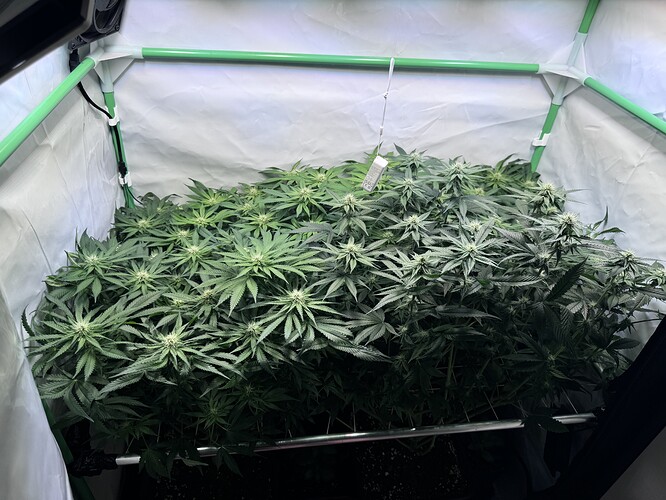 Growreport Bild 13