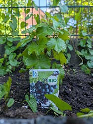 PXL_20250509_143441030