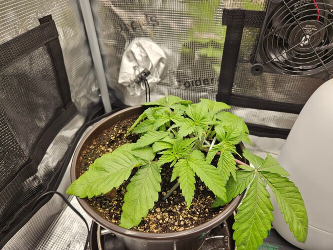 Growreport Bild 24