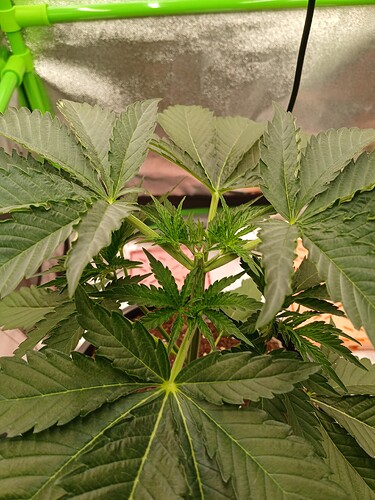 Growreport Bild 11