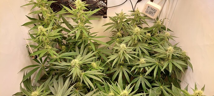 Growreport Bild 3