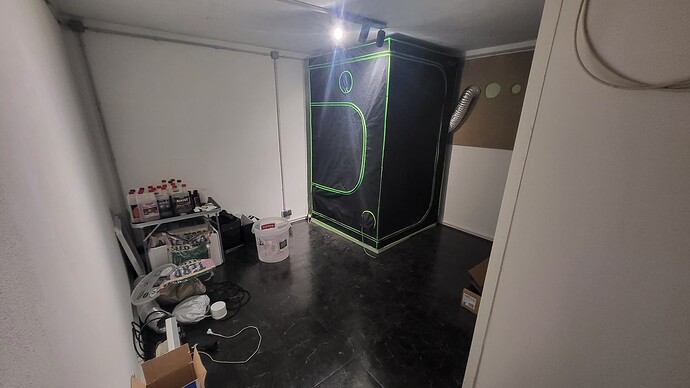 Growreport Bild 1