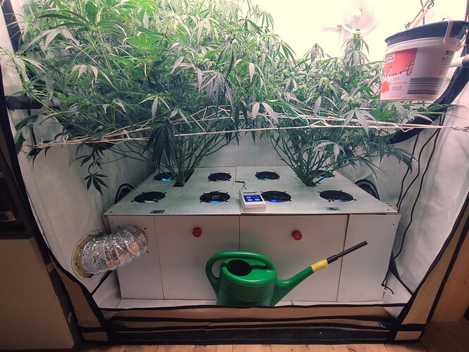 Growreport Bild 17