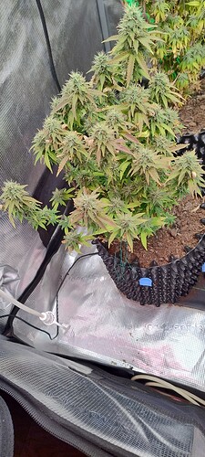 IMG_20251227_210735756_HDR