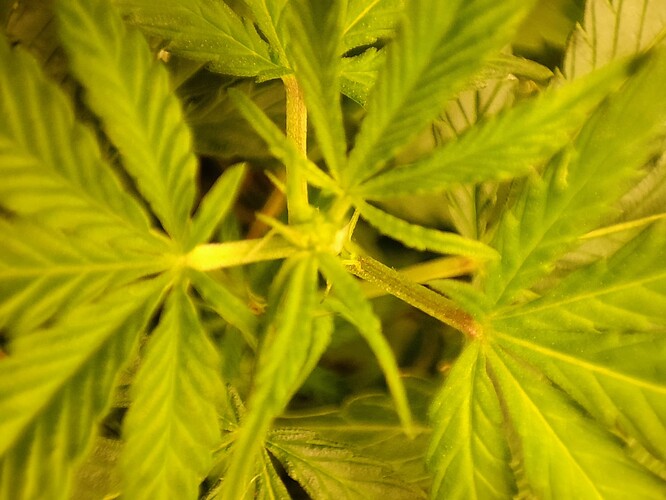 Growreport Bild 31