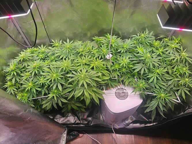 Growreport Bild 21