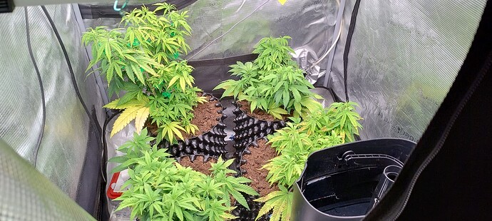 IMG_20251024_092608108_HDR