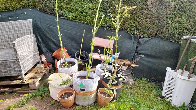 Growreport Bild 1