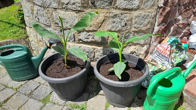 Growreport Bild 28