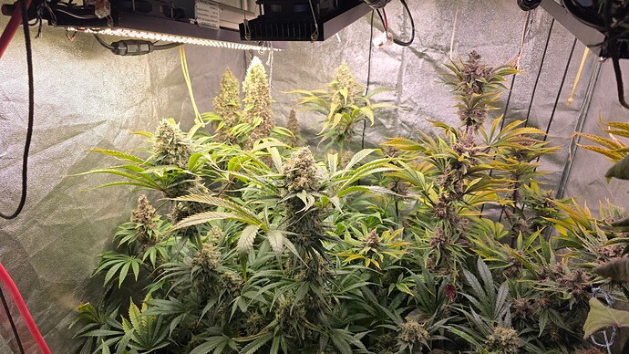 Growreport Bild 16