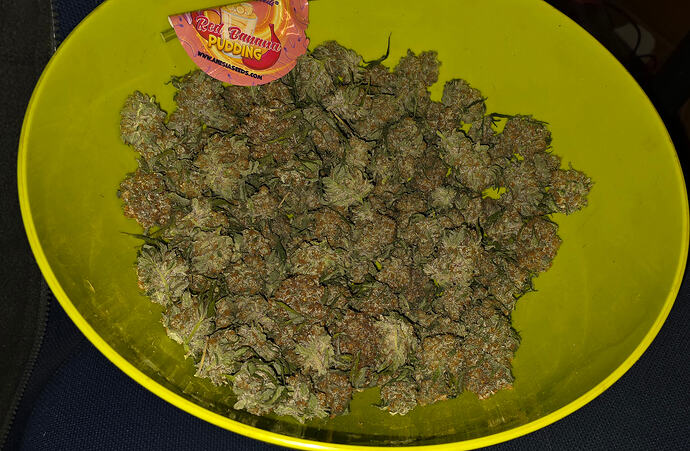 Growreport Bild 77