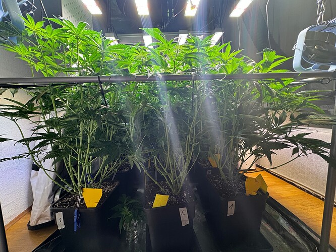 Growreport Bild 1