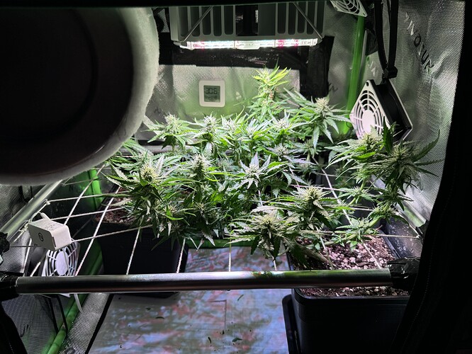 Growreport Bild 5