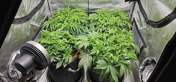 Growreport Bild 9