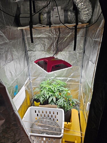 Growreport Bild 23