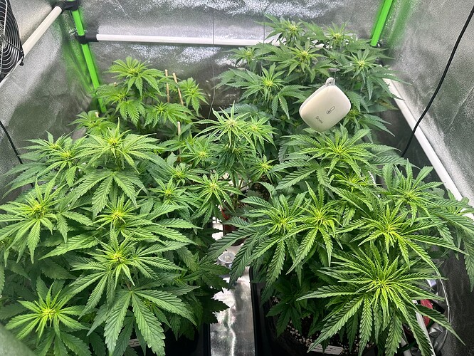Growreport Bild 4