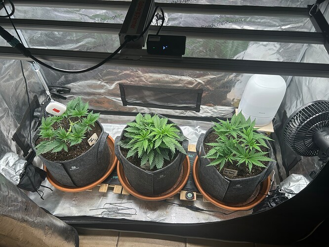Growreport Bild 1
