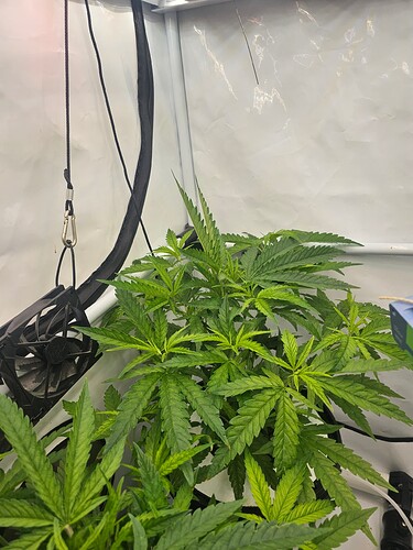 Growreport Bild 14