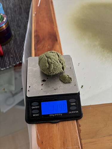 Growreport Bild 34