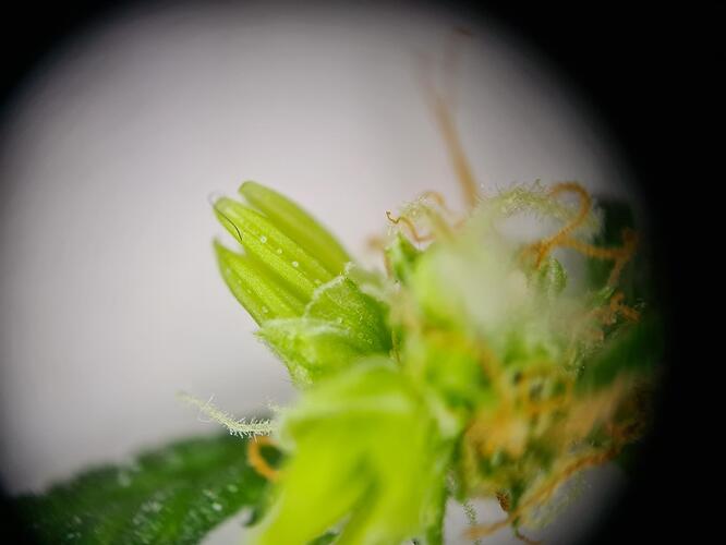 signal-2024-09-07-105832