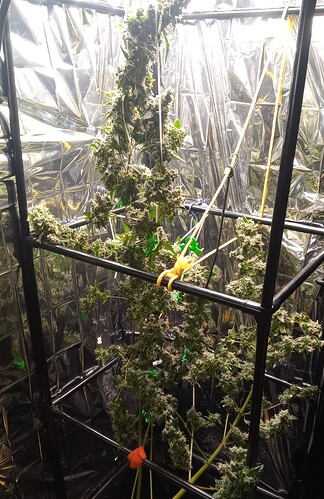 Growreport Bild 6
