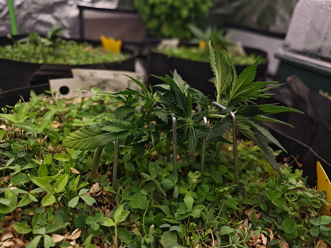 Growreport Bild 22