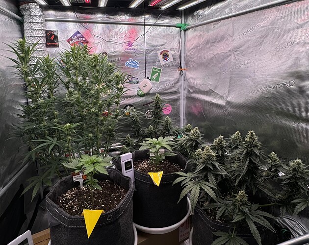 Growreport Bild 1