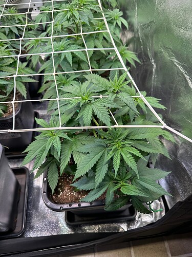 Growreport Bild 11