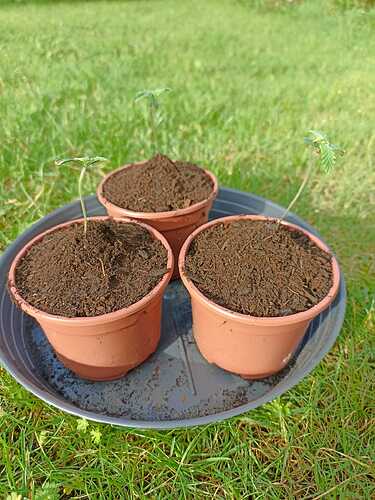 Growreport Bild 7