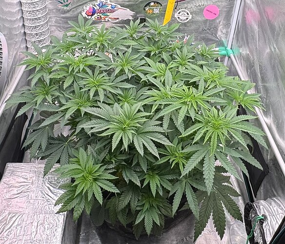 Growreport Bild 13