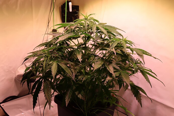 Growreport Bild 21