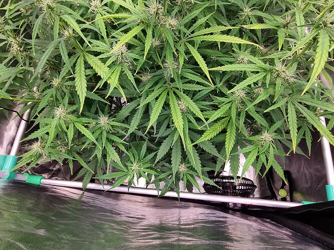 Growreport Bild 23