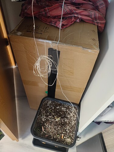 Growreport Bild 2