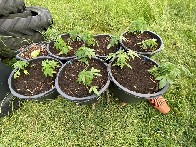 Growreport Bild 22