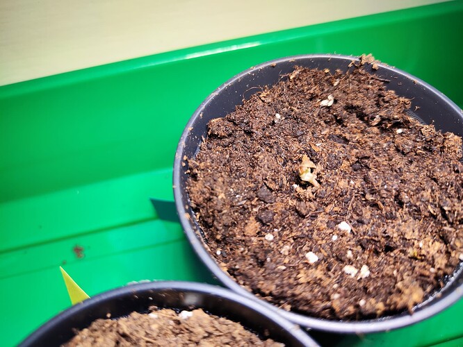 Growreport Bild 8