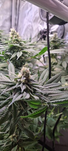 Growreport Bild 22