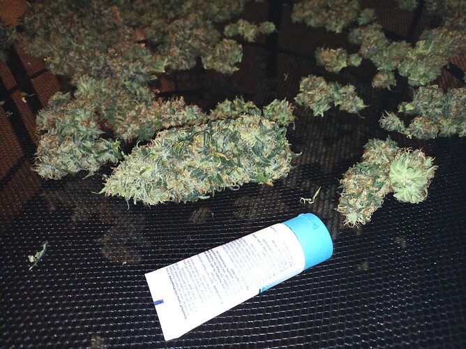 Growreport Bild 5