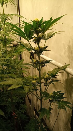 Growreport Bild 10